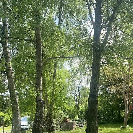 Campsite Doppelbett In Der Villa Mit 3000 M2 Garten Und Wald